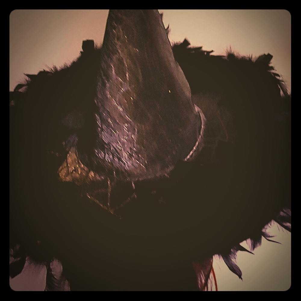 Halloween Hat